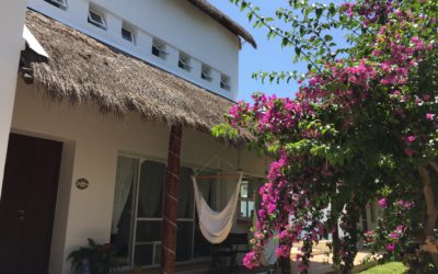 The Valley of Despair