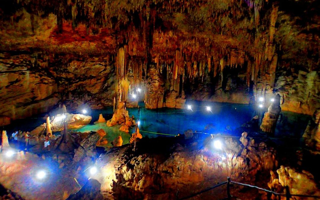 Mayan Experience Cenote Tour