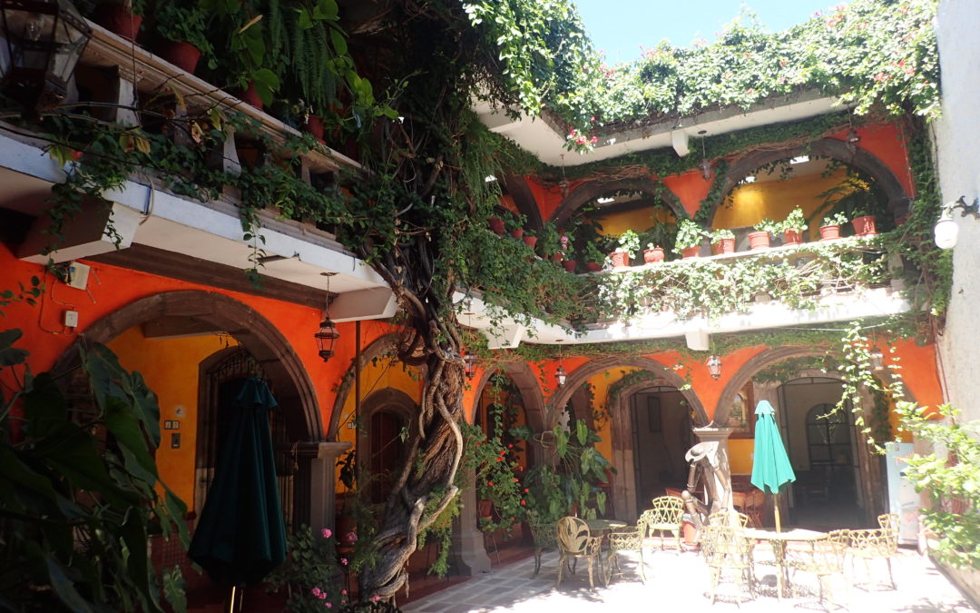 More pics from San Miguel de Allende