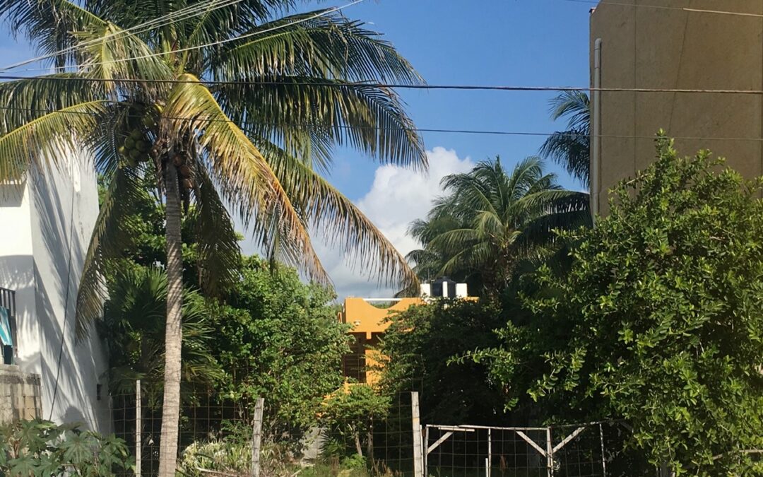 We now own a little piece of Mexico!