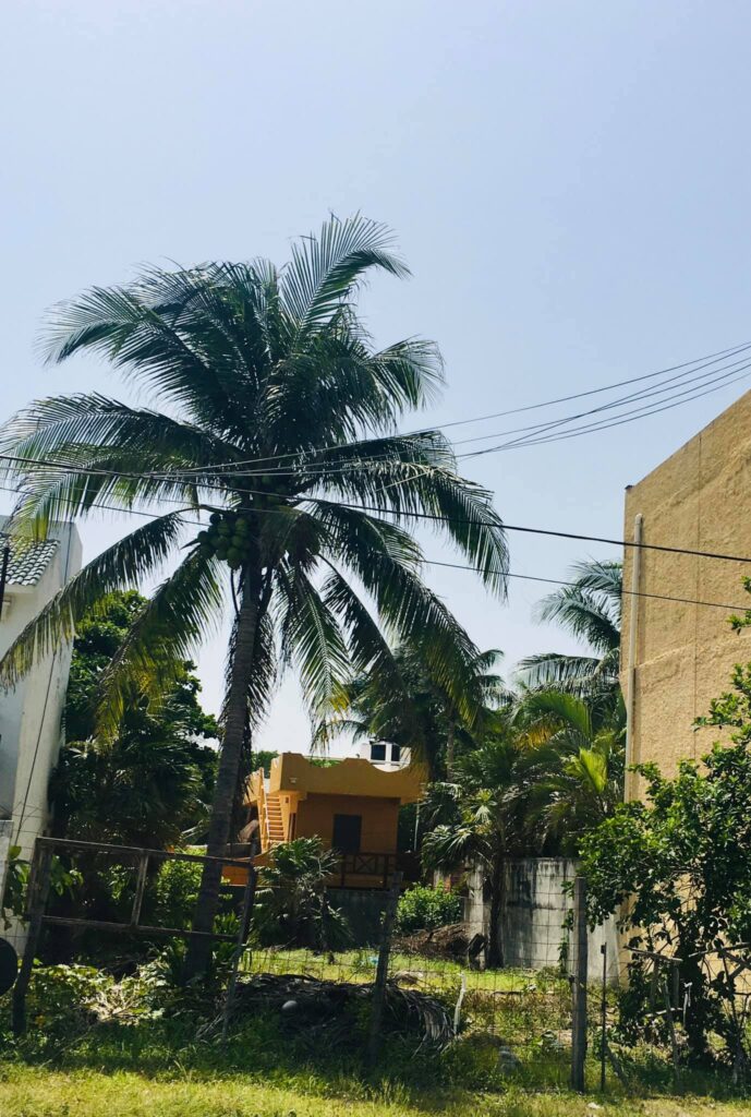 Future home of Casa TBD