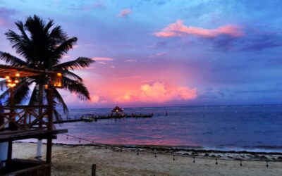 House building permits completed!