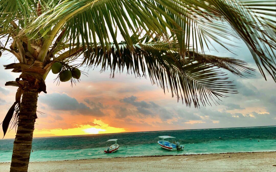 TransferWise is now Wise