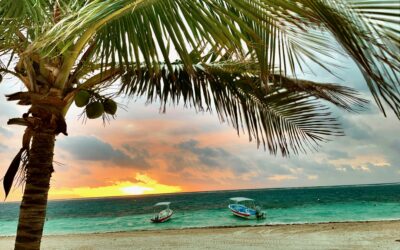 TransferWise is now Wise