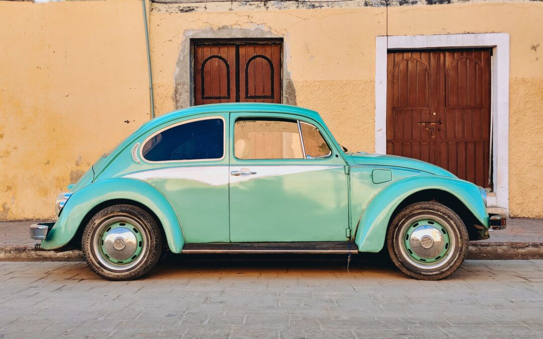 Renewing our driver’s license in Puerto Morelos